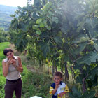 L'azienda agrituristica